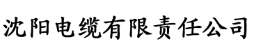 东北大炕姜老师电缆厂logo